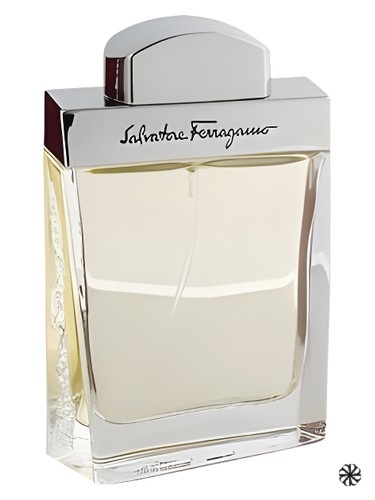 Salvatore Ferragamo Pour Homme Salvatore Ferragamo