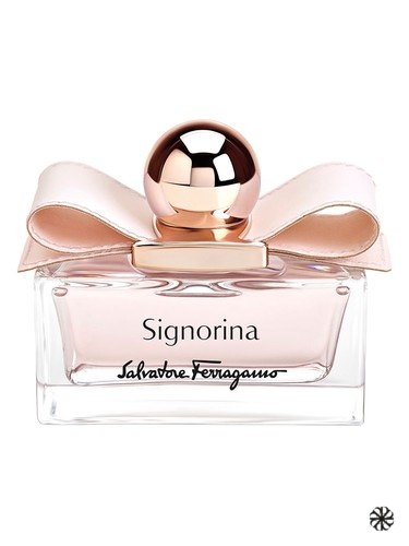 Signorina Leather Edition Salvatore Ferragamo