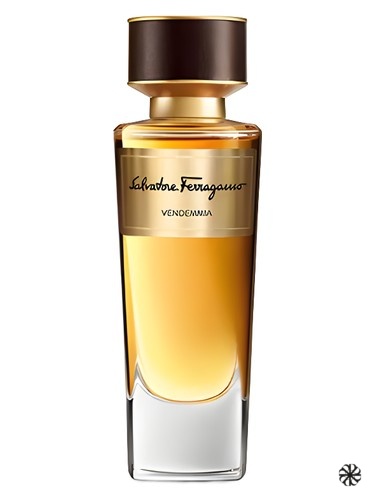 Vendemmia Salvatore Ferragamo
