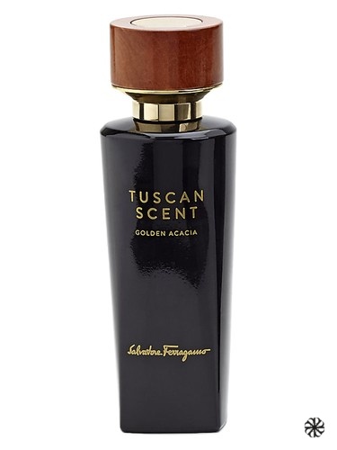 Golden Acacia Salvatore Ferragamo