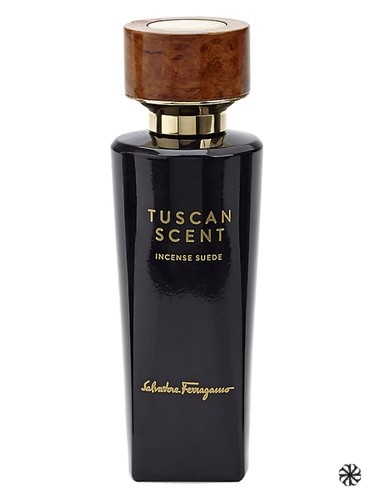 Incense Suede Salvatore Ferragamo