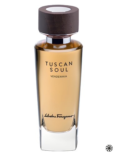 Vendemmia (2013) Salvatore Ferragamo