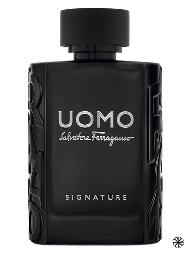 Uomo Salvatore Ferragamo Signature Salvatore Ferragamo