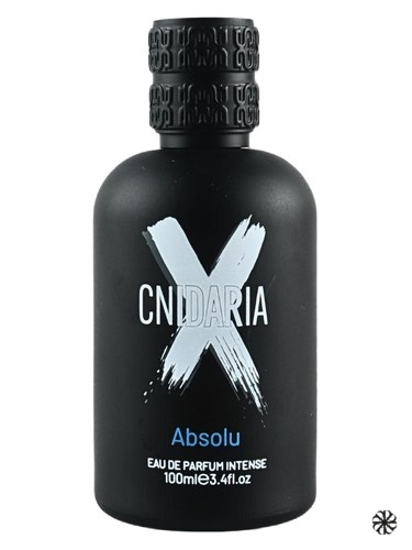 Cnidaria X Absolu Samam