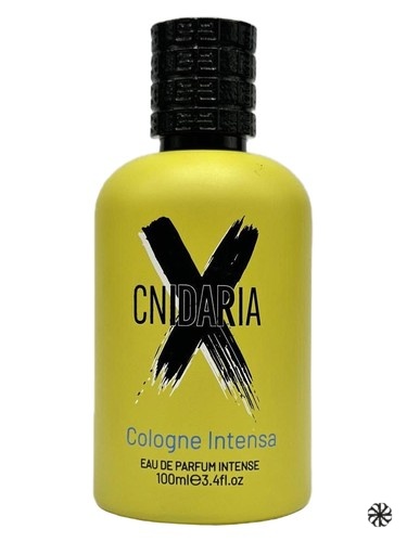 Cnidaria X Cologne Intense Samam