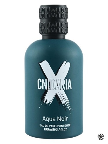 Cnidaria X Agua Noir Samam