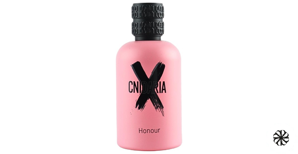 Cnidaria X Honour Samam