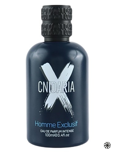 Cnidaria X Homme Exclusif Samam