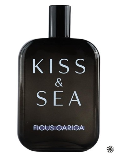 Kiss & Sea Ficus Carica Samam
