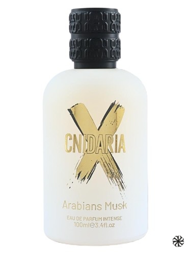 Cnidaria x Arabians Musk Samam