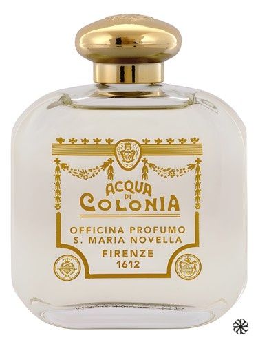 Iris Santa Maria Novella