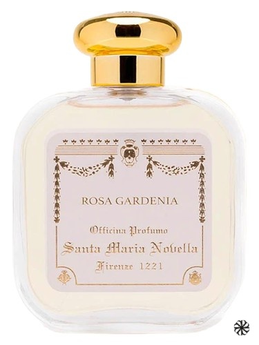 Rosa Gardenia Santa Maria Novella