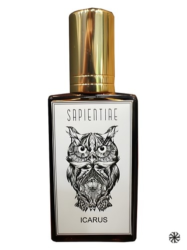 Ícarus Sapientiae Niche