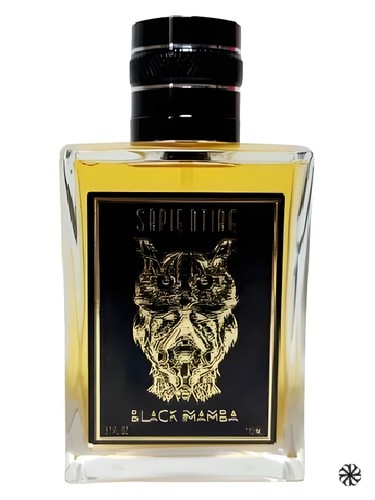 Black Mamba Sapientiae Niche