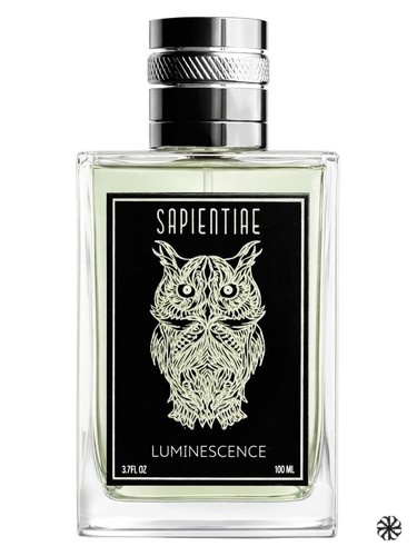 Luminescence Sapientiae Niche