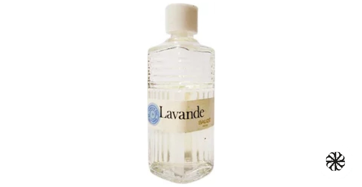 Lavande Sauzé