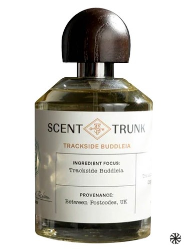 Trackside Buddleia Scent Trunk