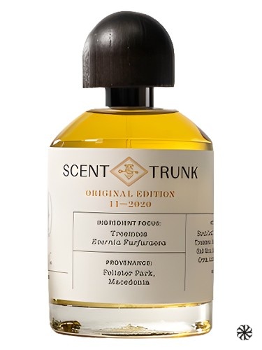 Treemoss Scent Trunk