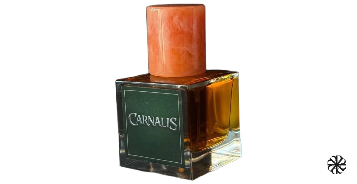 Carnalis ATon