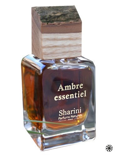 Ambre Essentiel Sharini Parfums Naturels