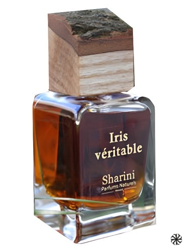 Iris Veritable Sharini Parfums Naturels