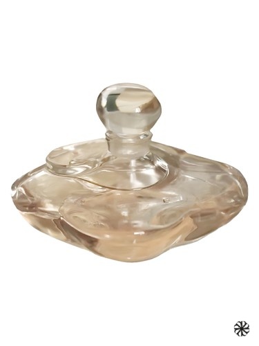 Camelia Superieur Shiseido