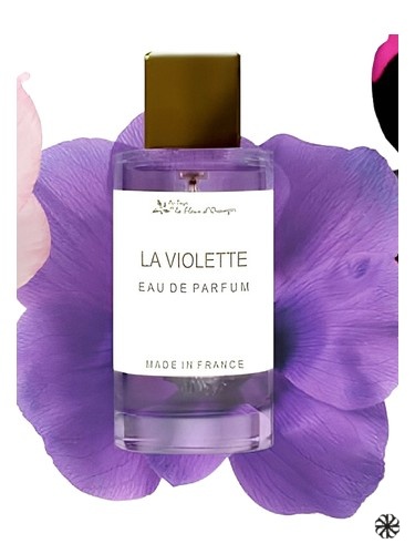 La Violette Au Pays de la Fleur d’Oranger