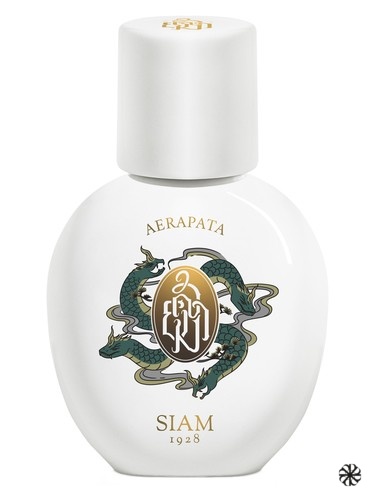 Aerapata SIAM 1928