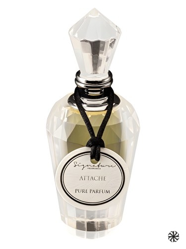 Attache Signature Fragrances