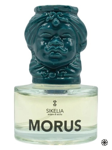 Morus Sikelia