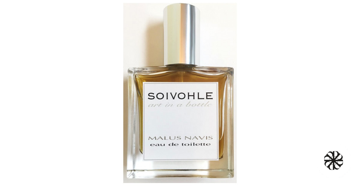 Malus Navis Soivohle