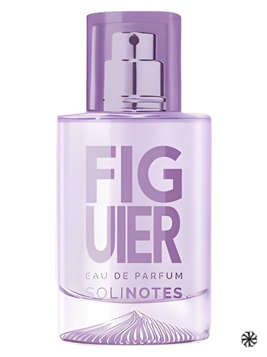 Figuier Solinotes