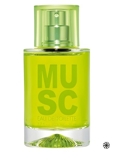 Musc Solinotes