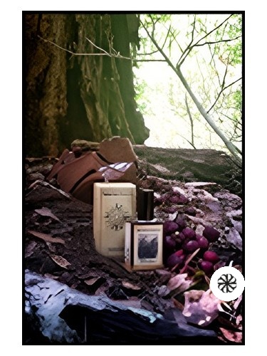 Black Forest Solstice Scents
