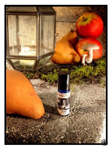 Cellar Solstice Scents