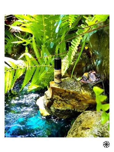 Devil's Millhopper Solstice Scents