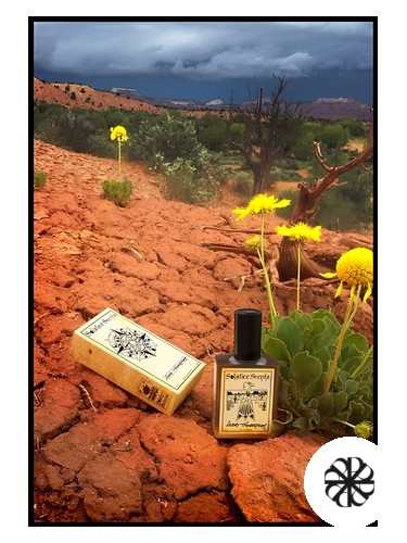 Desert Thunderstorm Solstice Scents