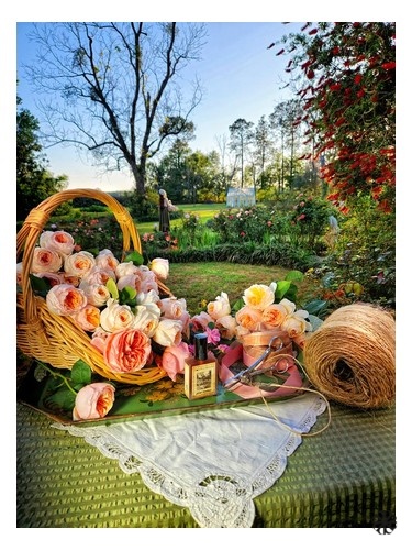 Estate Rosarium Solstice Scents