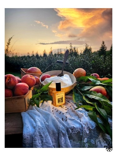 Iced Nectar Solstice Scents