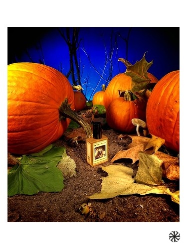 Gunnerson's Pumpkin Patch Solstice Scents