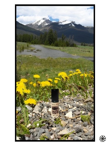Hidden Lodge Solstice Scents