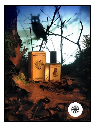 Night Watcher Solstice Scents