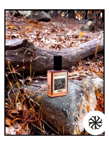 Monarch Solstice Scents