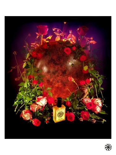Orient Rose Solstice Scents
