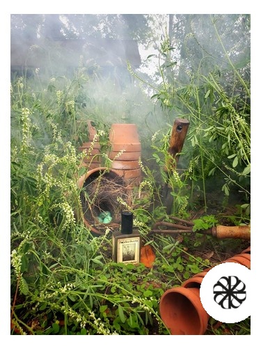 Sweet Clover & Wood Smoke Solstice Scents