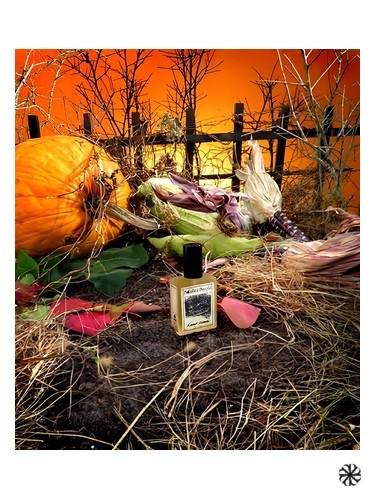 Foxcroft Intense Solstice Scents