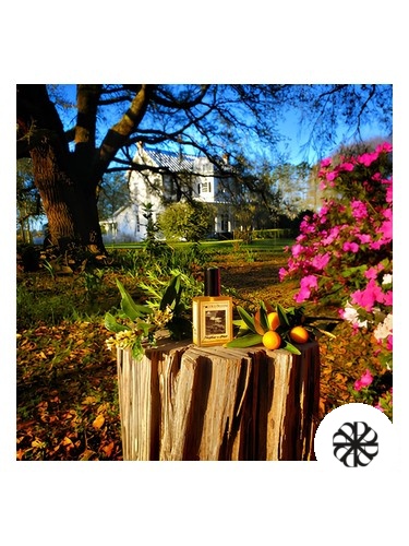 Farmhouse In Spring Solstice Scents
