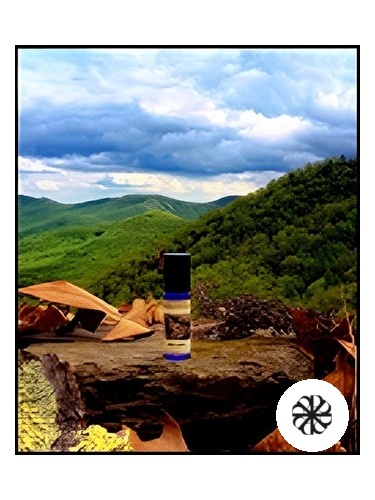 Grey's Cabin Solstice Scents