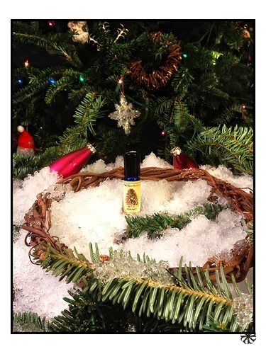Winslow's Solstice Scents