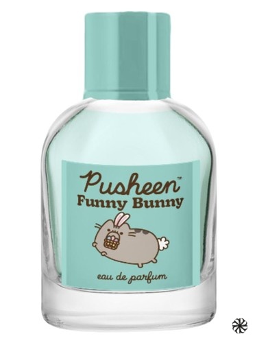 Pusheen Funny Bunny Aura